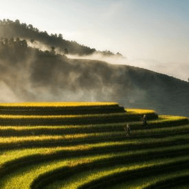 TopVietnamTrip